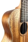 Preview: U-Turn Traffic Concert Ukulele