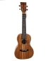 Preview: U-Turn Traffic Concert Ukulele