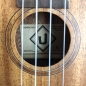 Preview: U-Turn Traffic Concert Ukulele