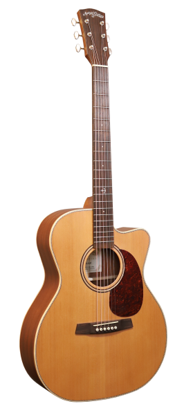 Anchor Guitars Falcon Europe SW CW AE